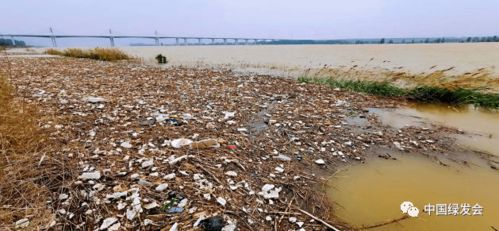 黄河流域山西段那些独特的自然景观与文明古迹 黄河流域生态考察行动 三